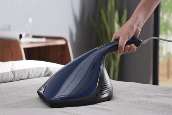 cách diệt con mạt bụi nhà