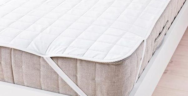 cách diệt con mạt bụi nhà