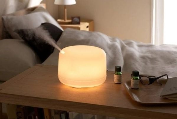 cách diệt con mạt bụi nhà