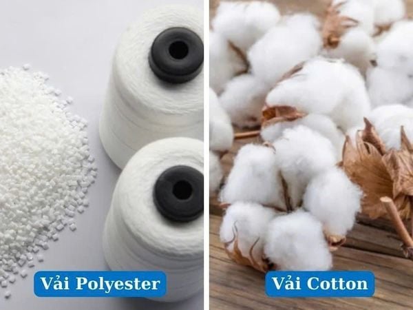 so sánh vải polyester và cotton