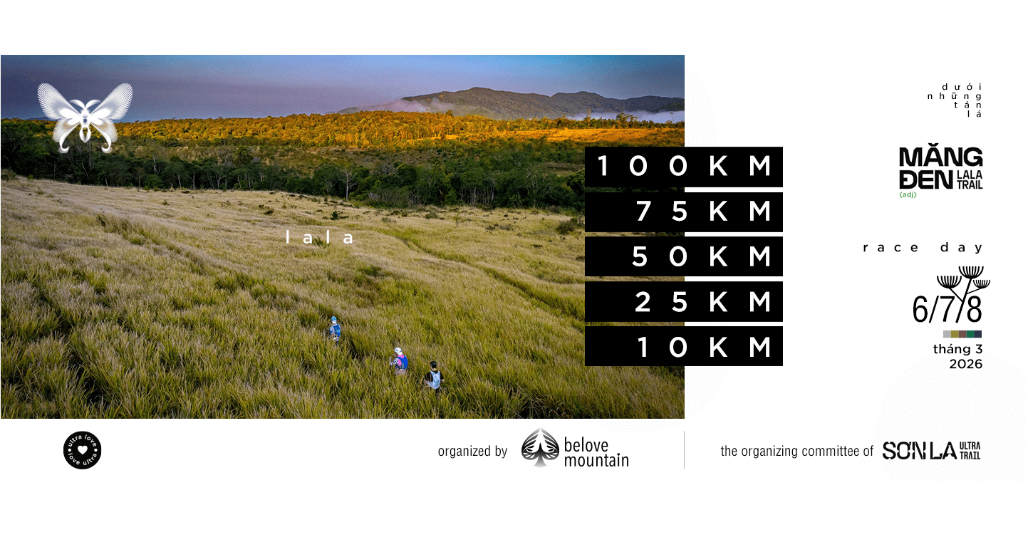 Tổng hợp các giải chạy bộ 2026 – Mới nhất, đầy đủ nhất