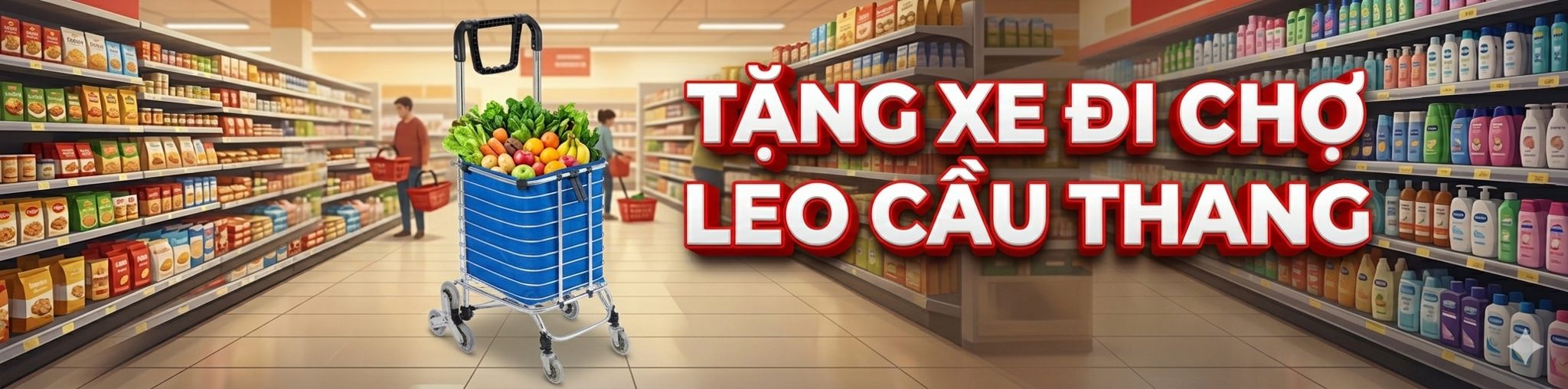Tặng xe leo cầu thang