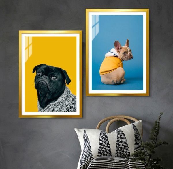 Tranh động vật đẹp – điểm nhấn tinh tế cho phòng khách