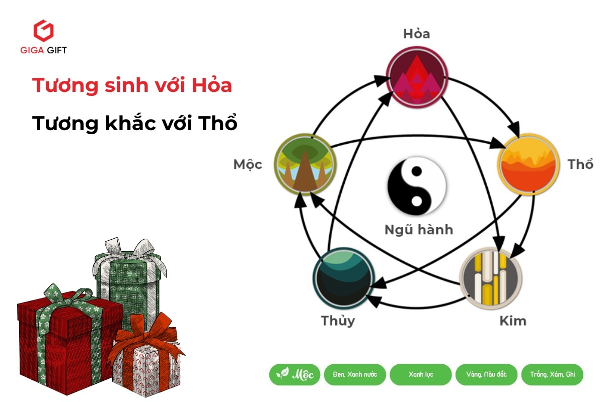 Các yếu tố tương sinh, tương khắc và màu sắc thích hợp cho người mệnh Mộc