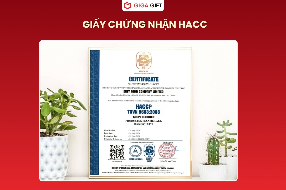 Mẫu giấy chứng nhận đạt chuẩn HACCP