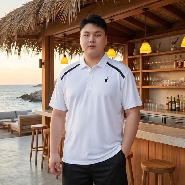 Áo polo nam big size AKYOO, thời trang cho người ngoại cỡ từ 80-140kg
