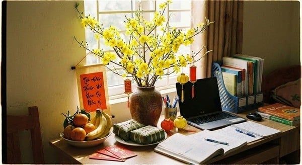 Hình ảnh bài viết