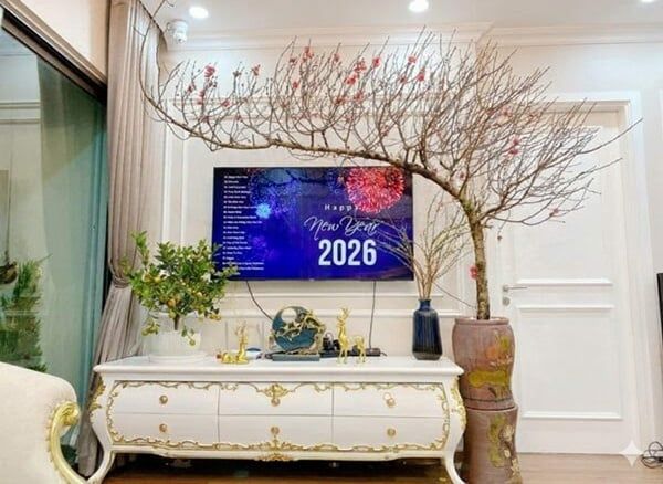 Hình ảnh bài viết