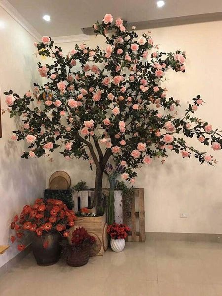 Hình ảnh bài viết