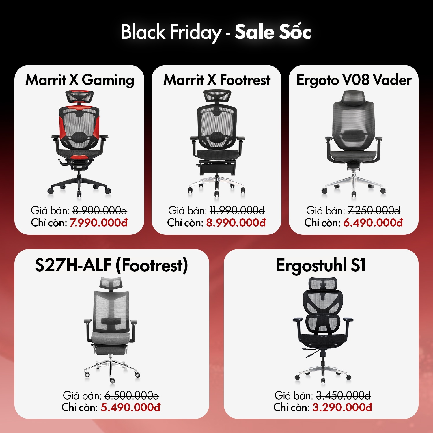 Hình ảnh bài viết