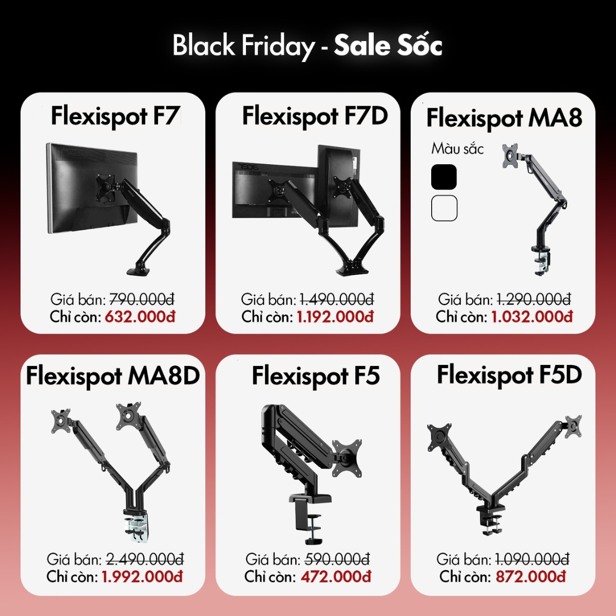 Hình ảnh bài viết