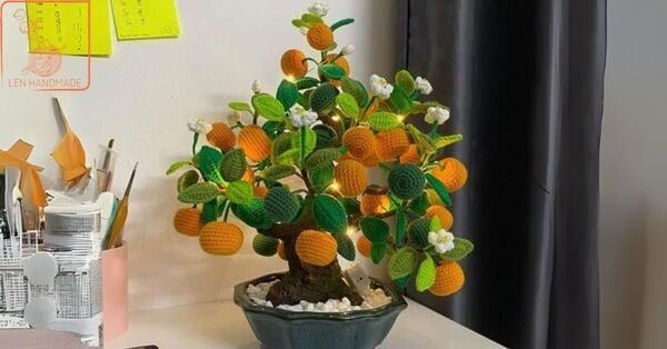 Hình ảnh bài viết