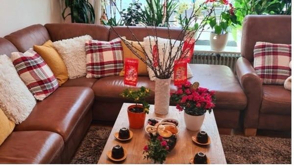 Hình ảnh bài viết