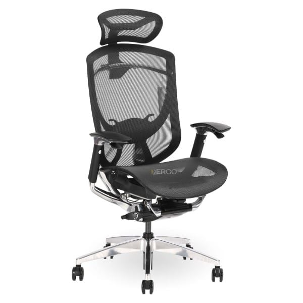 Hình ảnh bài viết