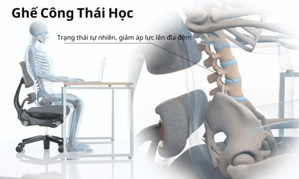 Hình ảnh bài viết