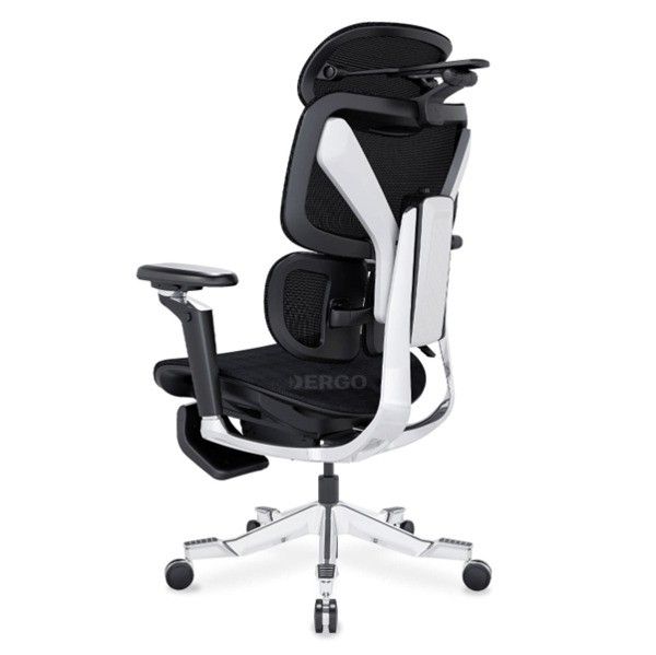 Hình ảnh bài viết