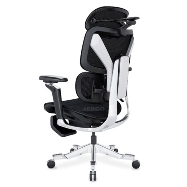 Ghế Văn Phòng ErgoStuhl Max 1 (with Footrest)