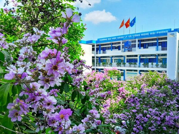 Trường Đại học Quản lý và Công nghệ Hải Phòng (HPU)