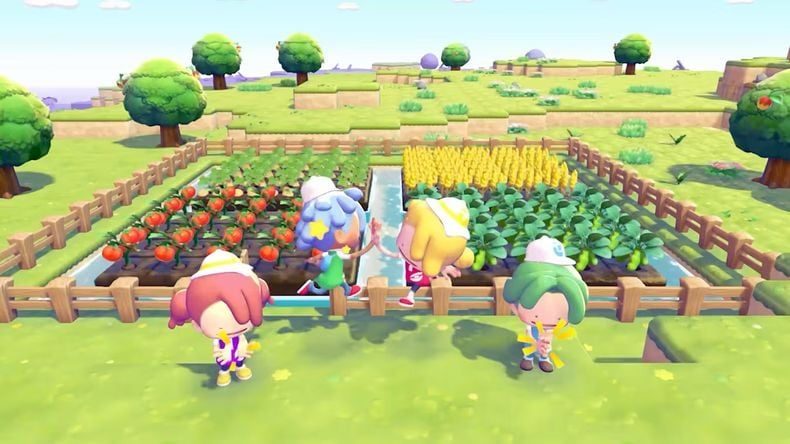 kết nối mạng Pokemon Pokopia Nintendo Switch 2