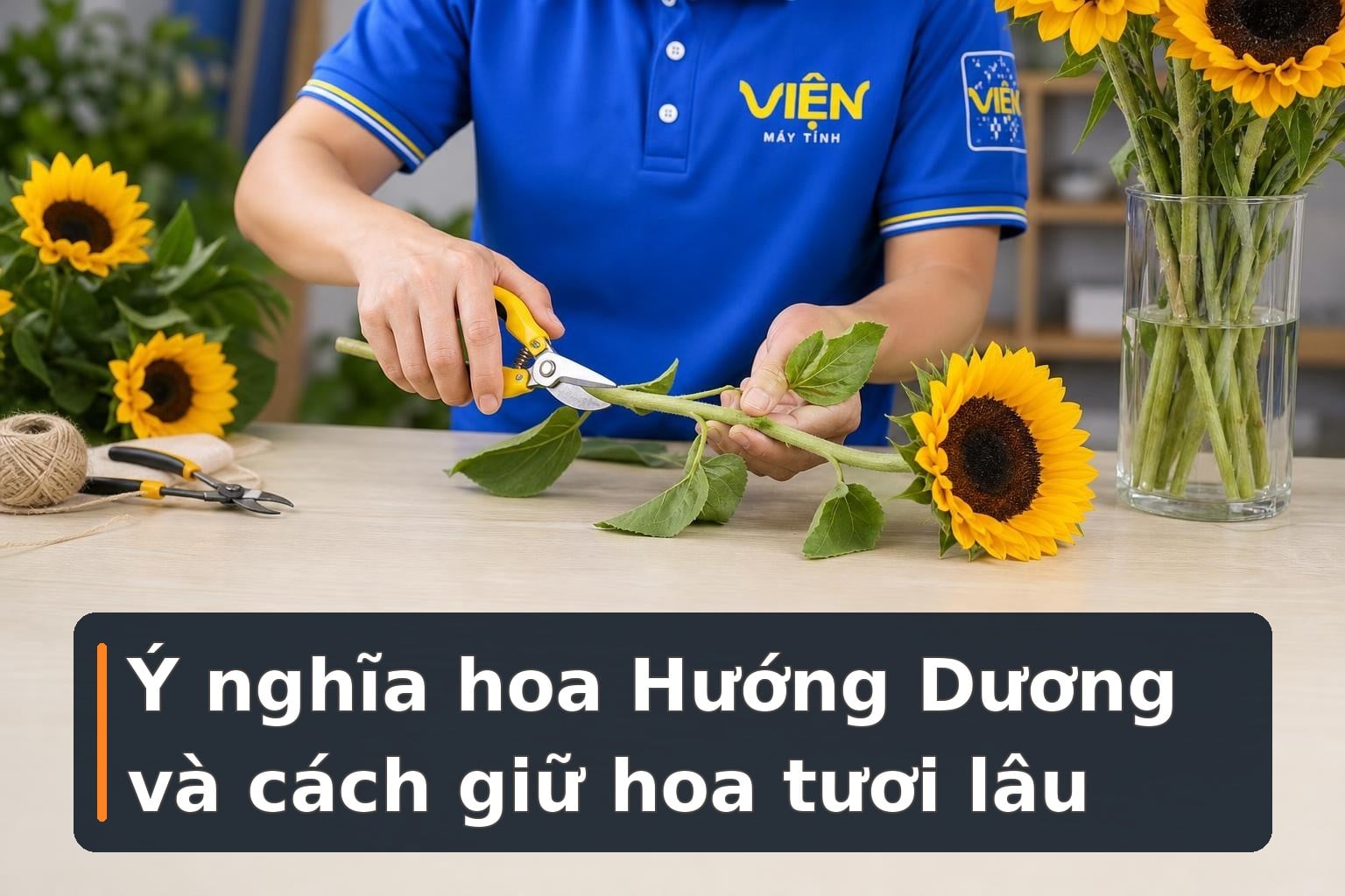 Ý nghĩa hoa Hướng Dương và cách giữ hoa tươi lâu
