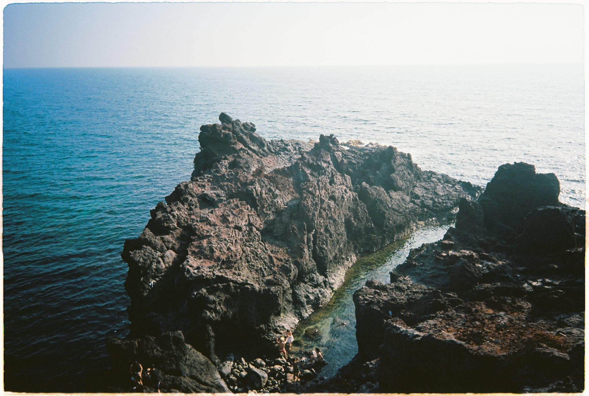 Kodak Ektar 100, Phim cuộn 135 Kodak Ektar 100, Ektar 100