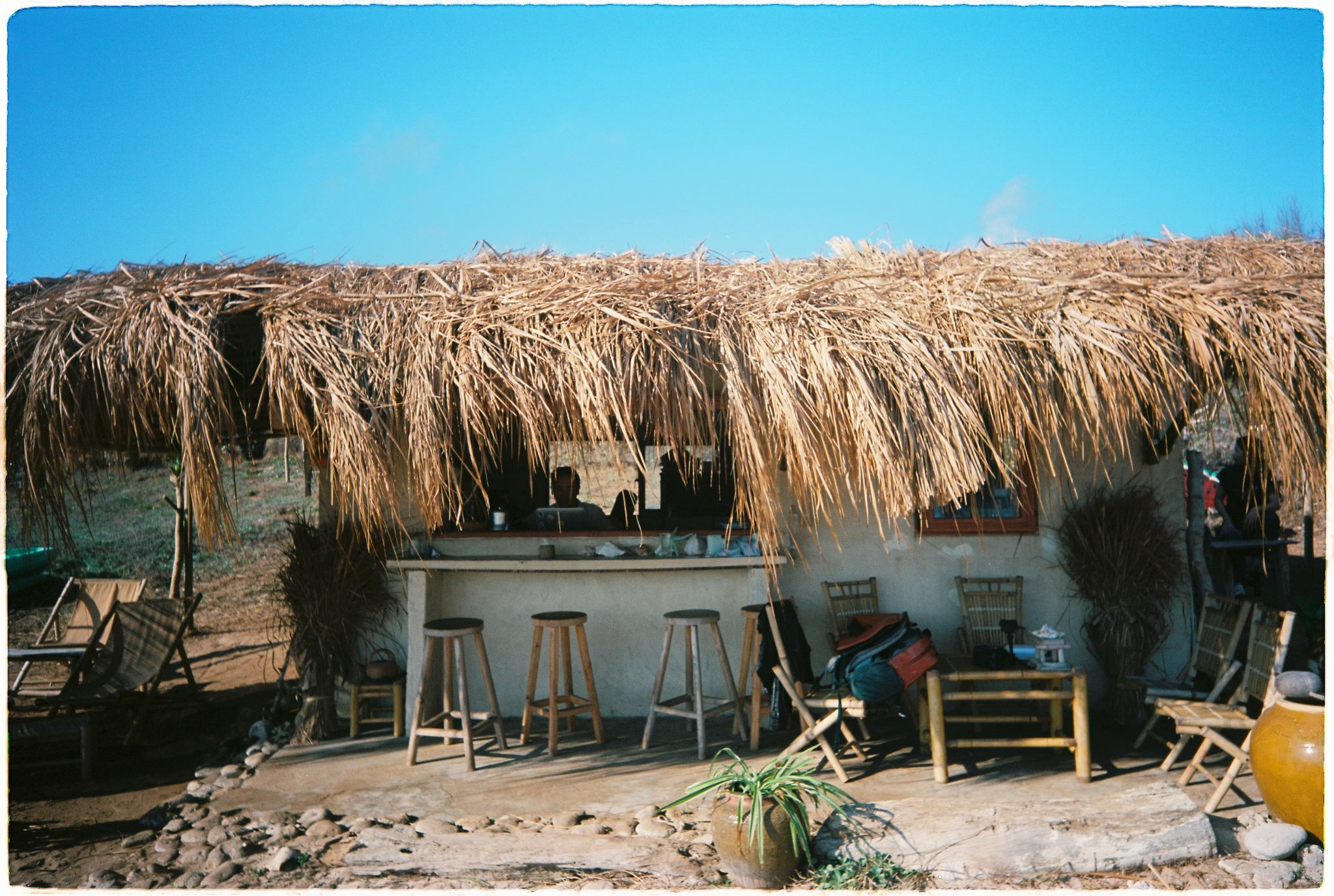 Kodak Ektar 100, Phim cuộn 135 Kodak Ektar 100, Ektar 100