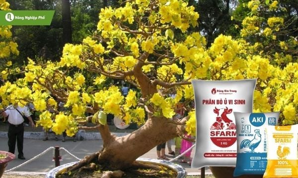 Ưu tiên phân hữu cơ để tăng sức đề kháng