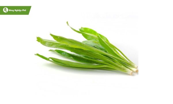 Ngò gai mang đến hương thơm tự nhiên cho món ăn.