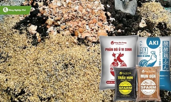 Kết hợp trấu hun hoặc mụn dừa với phân hữu cơ hoai mục còn cải thiện dinh dưỡng cho cây.