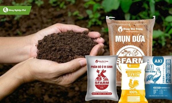 Kết hợp phân hữu cơ và mụn dừa để cải tạo đất