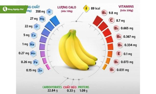 Các thành phần dinh dưỡng trong chuối hồng ngự.