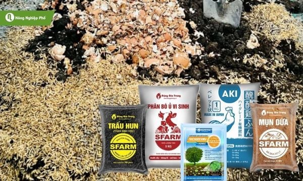 Trộn đất với phân hữu cơ, trấu hun, mụn dừa và trichoderma để cải tạo đất