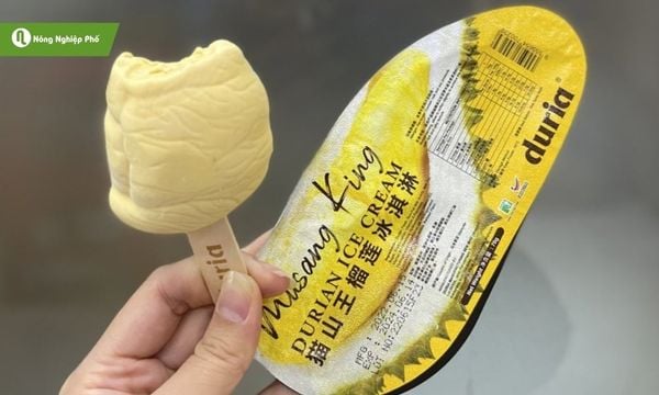 Mát lạnh, ngọt béo và thơm đặc trưng, kem Musang King là món tráng miệng lý tưởng.