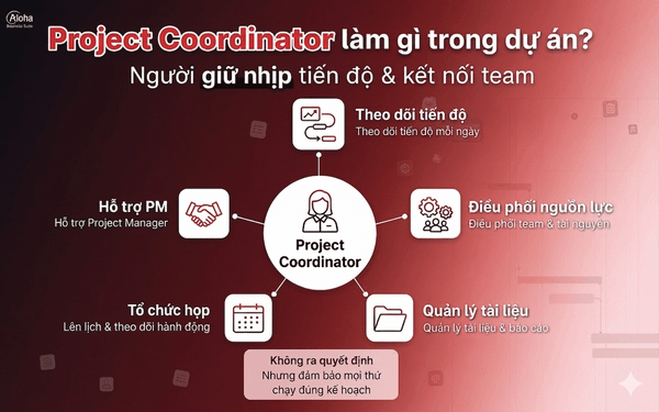 Project Coordinator làm gì trong dự án?