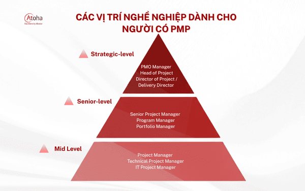 Các vị trí nghề nghiệp dành cho người có PMP