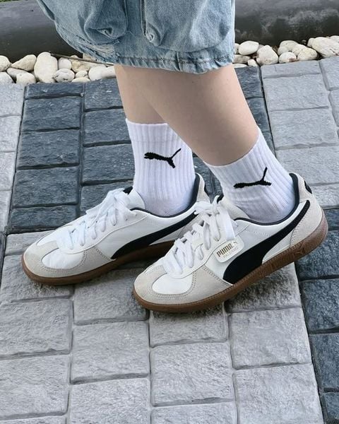 Các hãng giày nổi tiếng - Puma