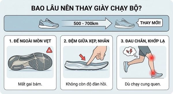 Bao lâu nên thay giày chạy bộ