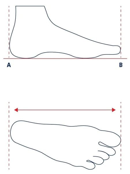Vẽ và đo bàn chân