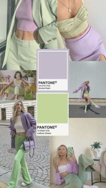 Màu tím phối với màu gì - xanh sage hoặc xanh pastel lạnh