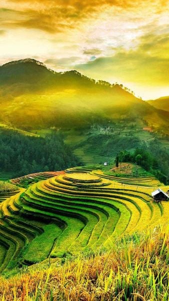 Quà tặng 20/10 một chuyến du lịch