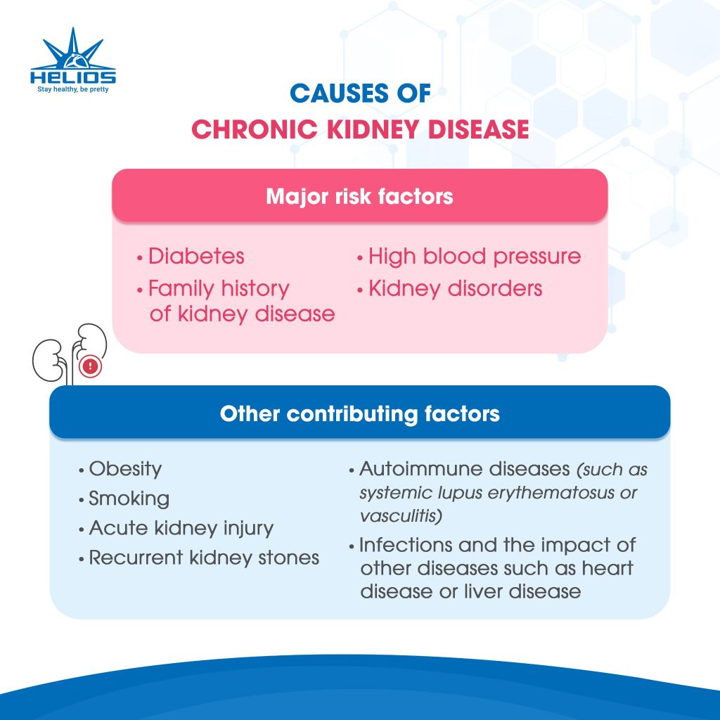 world kidney day, kidney