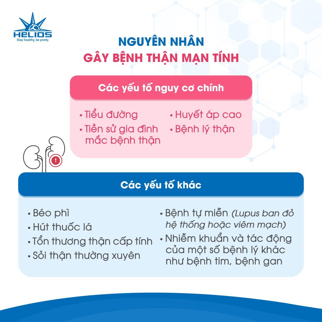 Ngày sức khỏe thận thế giới, ngày thận thế giới 2026, thận