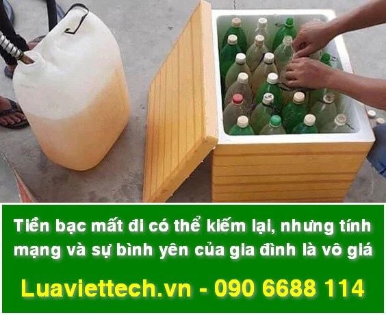 Tiền bạc mất đi có thể kiếm lại, nhưng tính mạng và sự bình yên của gia đình là vô giá