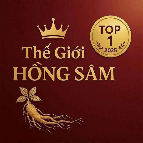 Top 1 - Cửa hàng Thế Giới Hồng Sâm