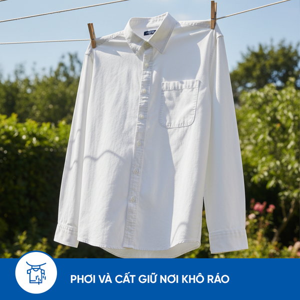 Hãy phơi và bảo quản ở nơi khô ráo để tránh tình trạng ẩm mốc