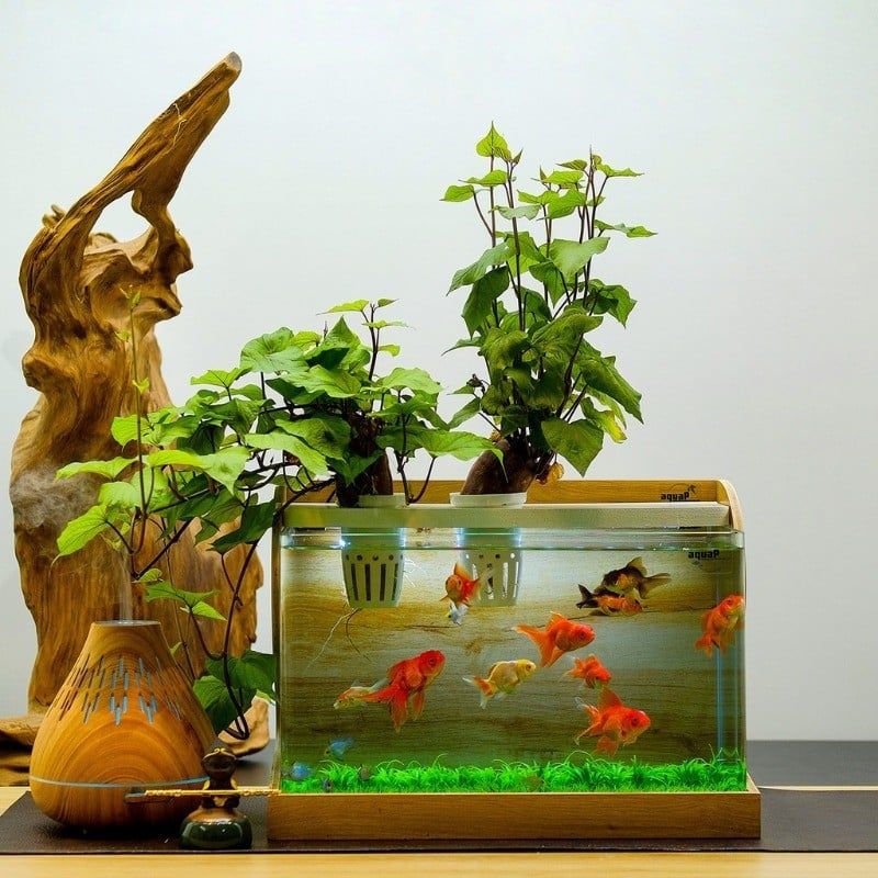 vật phẩm phong thủy cho người mệnh mộc