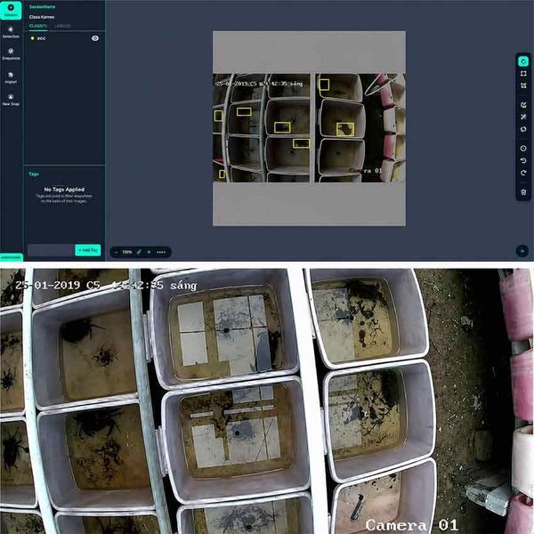 camera AI