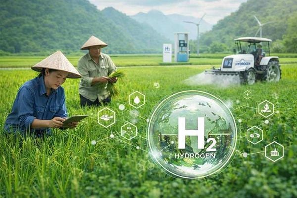 Hydro trong nông nghiệp