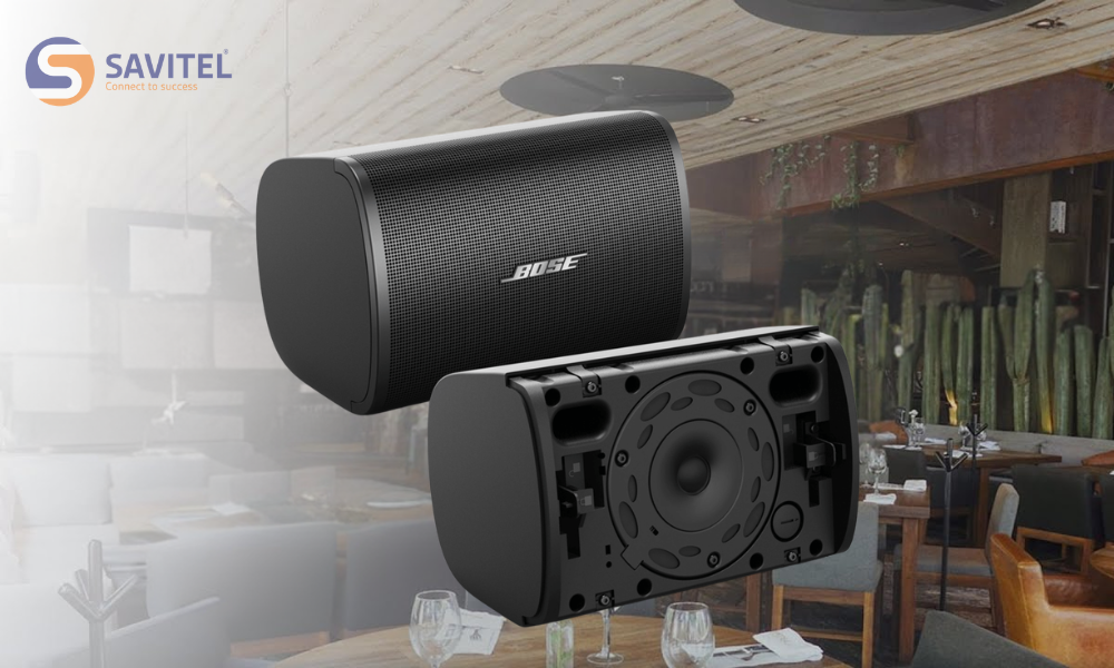 Loa Bose DesignMax DM3SE