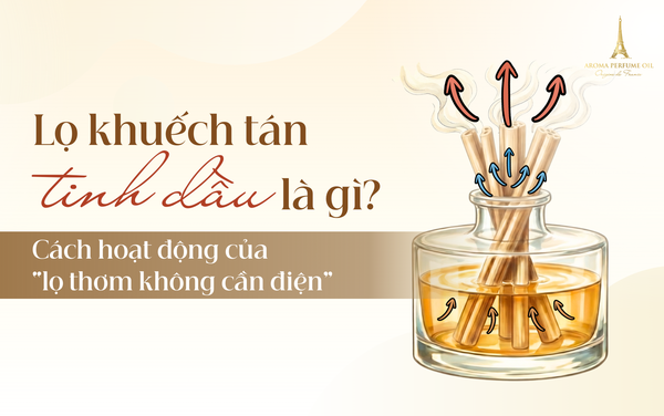 Lọ khuếch tán tinh dầu là gì? Cách hoạt động của “lọ thơm không cần điện”